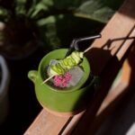 آپدیت کافه های فعال